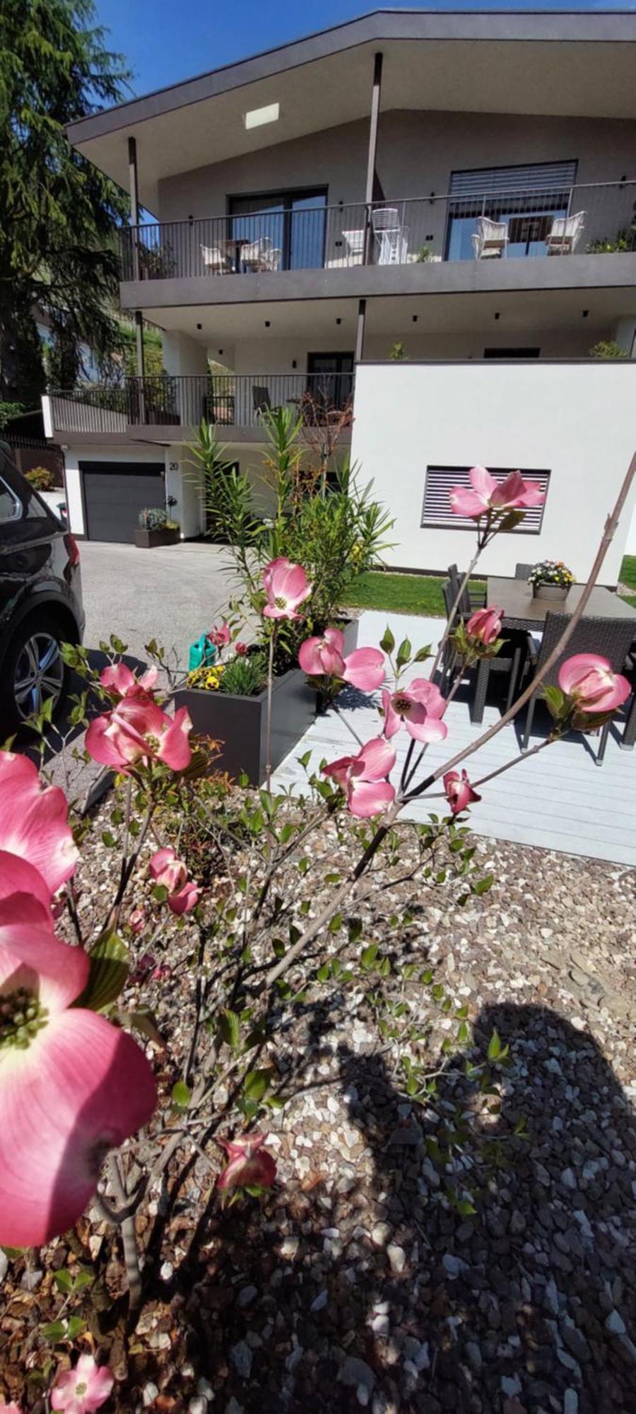 Marlingsuites - Vinea - Wieser Josef - Marling מראה חיצוני תמונה